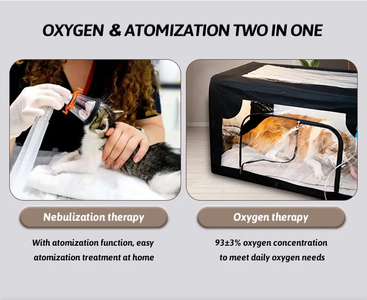 5KW pet o2 (6)